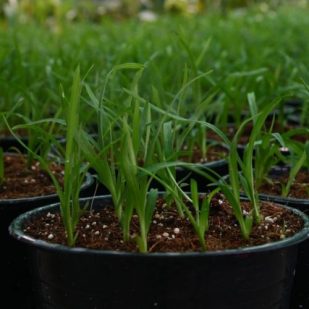 72dd57b08276a4e93b408a659e4eeeb1