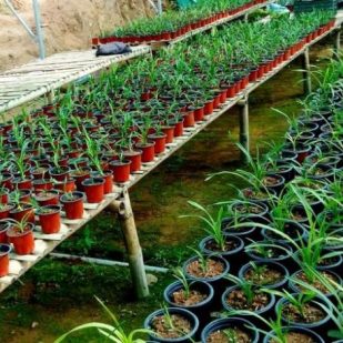 82e560b0f10e1cf122bfc7453f3da6b7