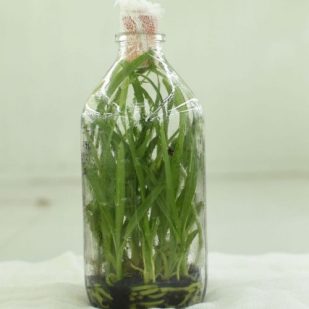 f31a7ddc438a89290272c554ddd5c7ce